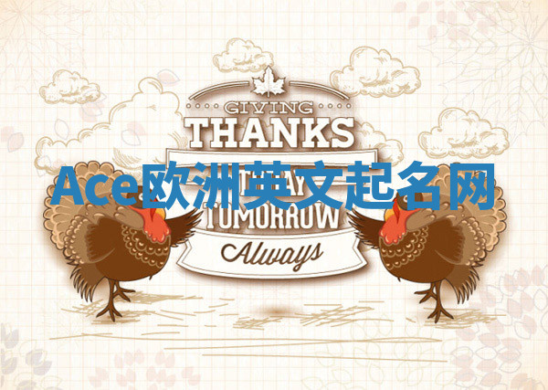 Ace欧洲英文起名网