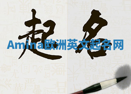 Amina欧洲英文起名网 Amina欧洲英文起名网