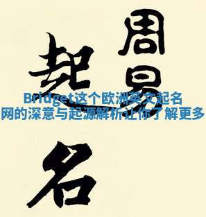 Bridget这个欧洲英文起名网的深意与起源解析让你了解更多 Bridget这个欧洲英文起名网的深意与起源解析让你了解更多