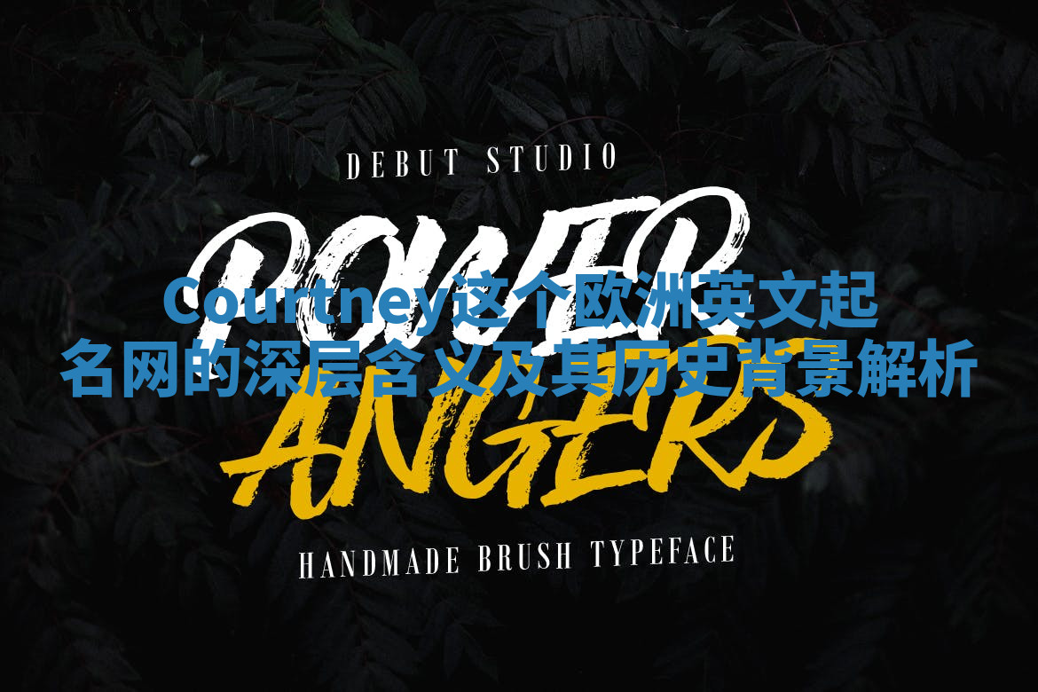 Courtney这个欧洲英文起名网的深层含义及其历史背景解析 Courtney这个欧洲英文起名网的深层含义及其历史背景解析