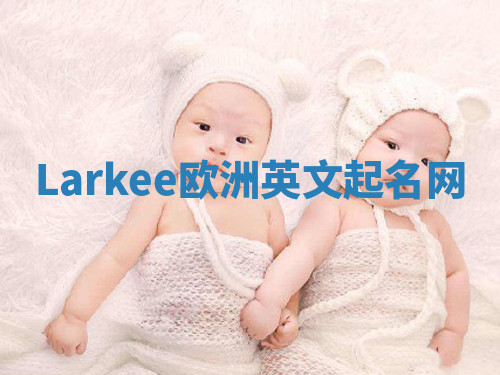Larkee欧洲英文起名网 Larkee欧洲英文起名网