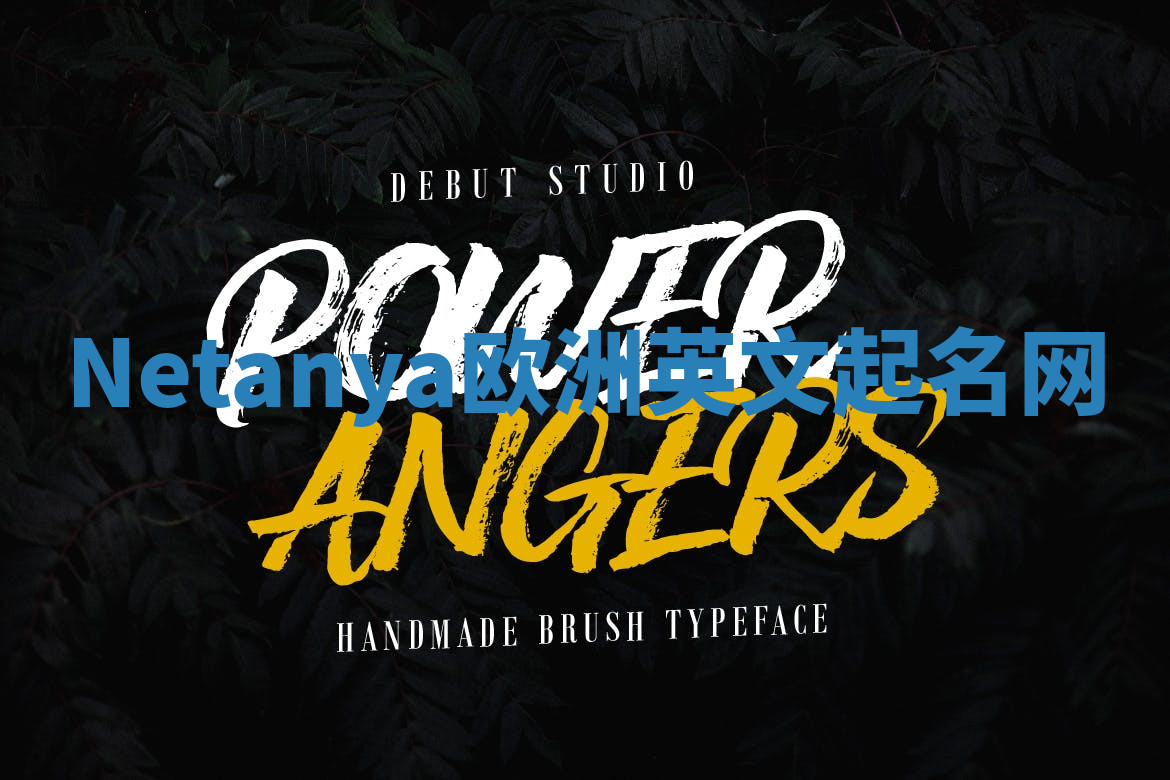 Netanya欧洲英文起名网