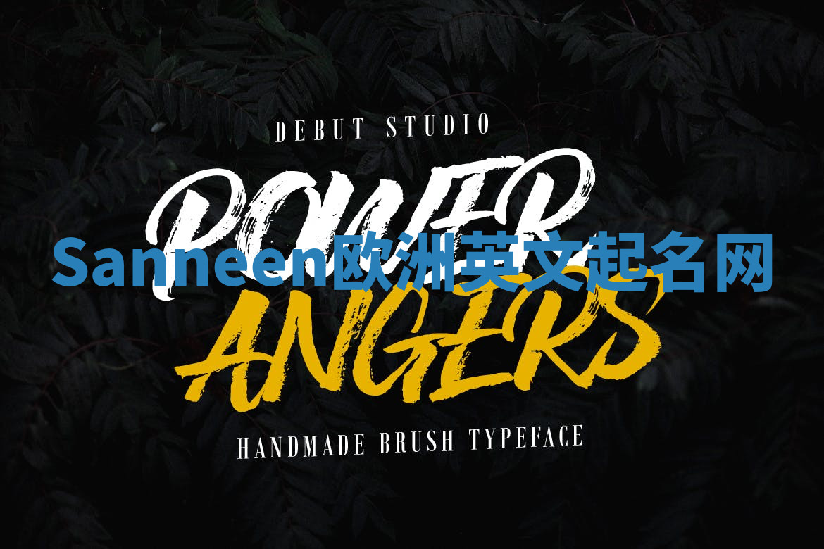 Sanneen欧洲英文起名网