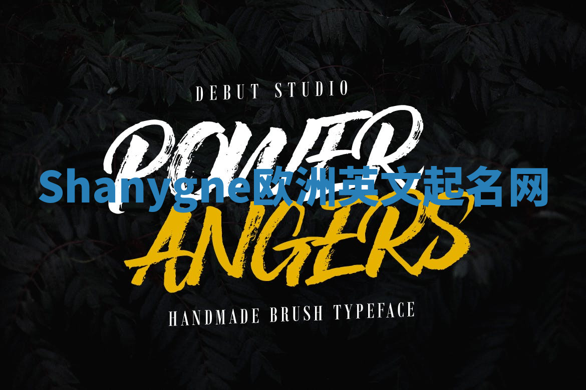 Shanygne欧洲英文起名网 Shanygne欧洲英文起名网