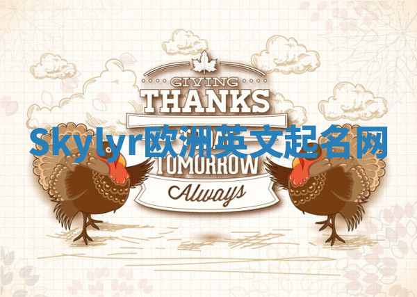 Skylyr欧洲英文起名网 Skylyr欧洲英文起名网